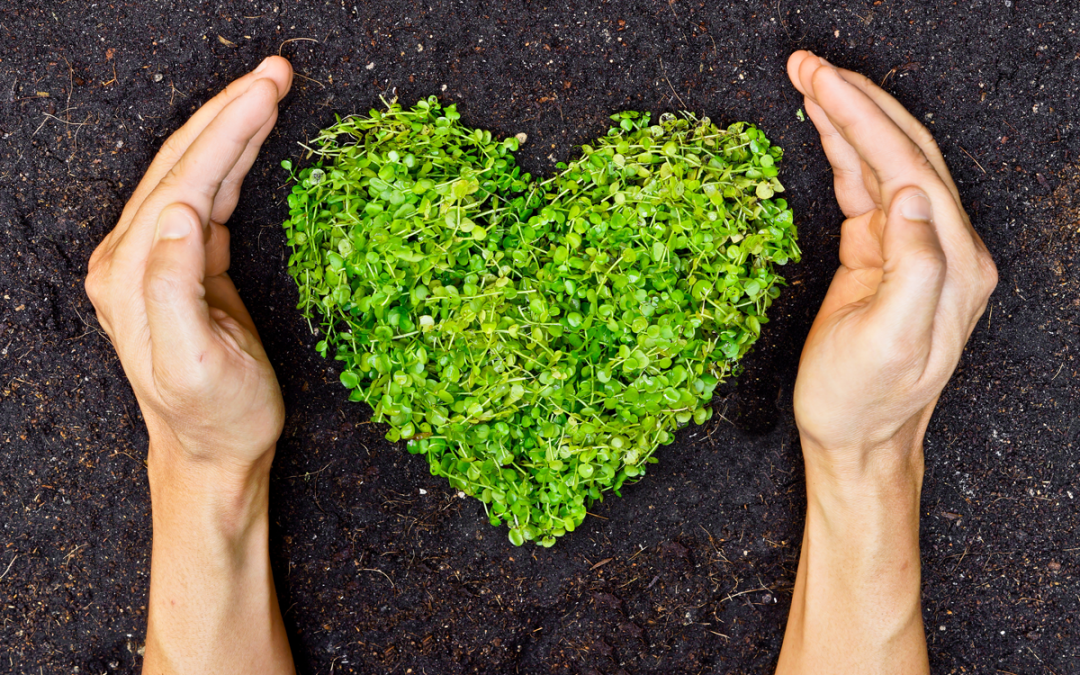 The Embrace of Earth