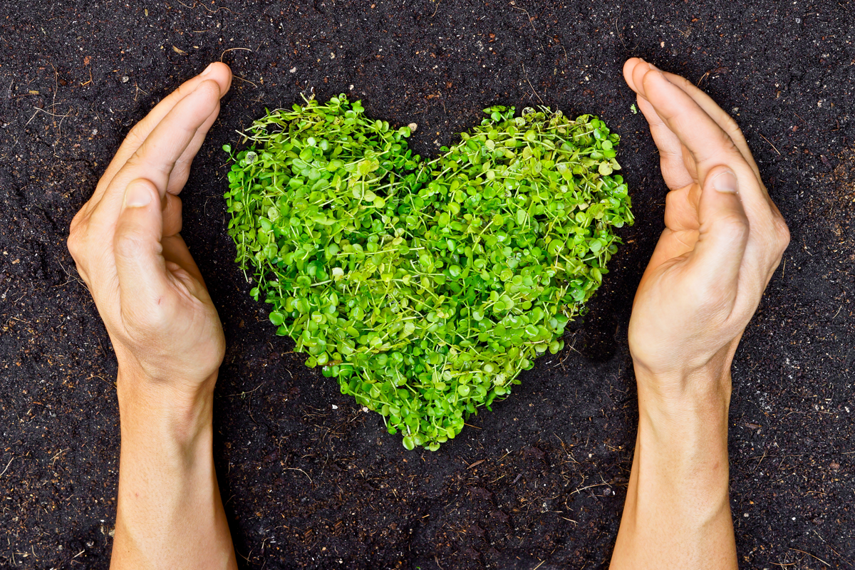 AdobeStock_59911061 Bliss Zone Energy Medicine