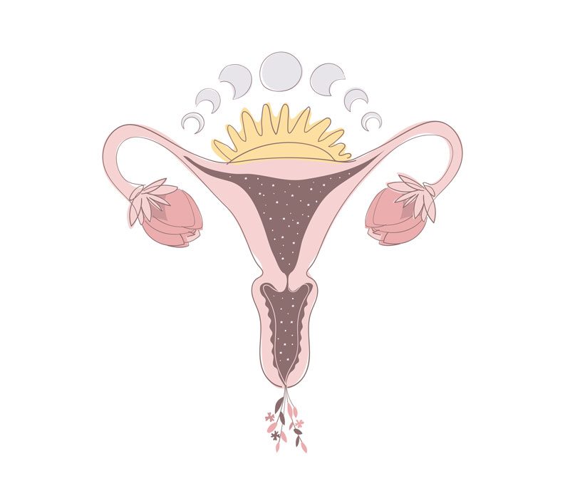 Chakra 2:  The Essence of You